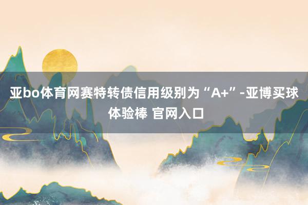 亚bo体育网赛特转债信用级别为“A+”-亚博买球 体验棒 官网入口
