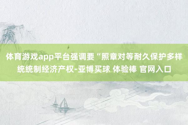 体育游戏app平台强调要“照章对等耐久保护多样统统制经济产权-亚博买球 体验棒 官网入口